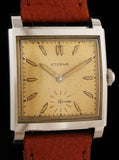 Eterna Large Size Tank Early Waterproof Case SOLD