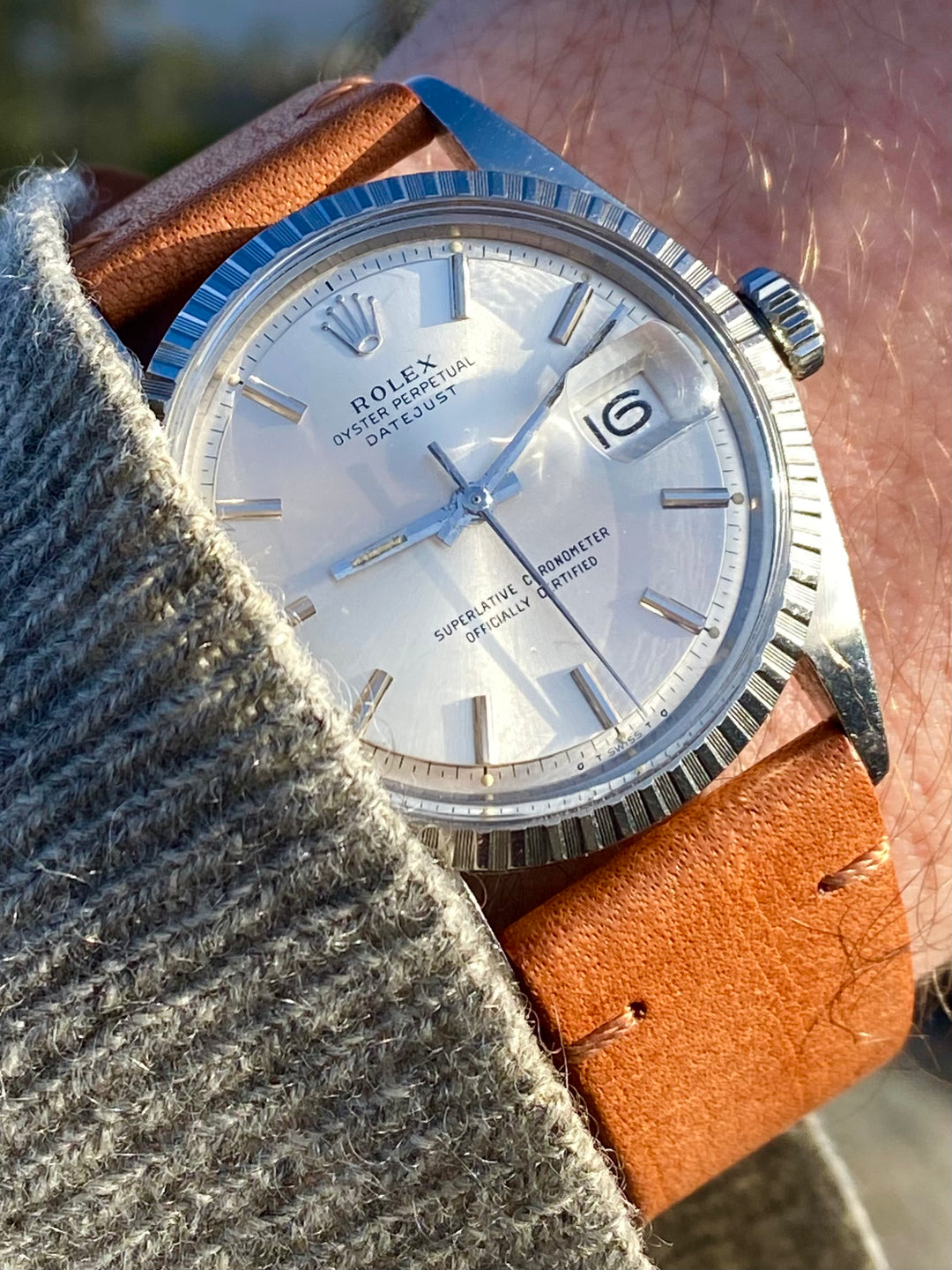 Rolex datejust 2025 sigma dial